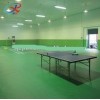 Supply Table Tennis(pingpong) Sports Court Flooring