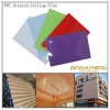 Descor PVC Glossy Stretch Ceiling Film