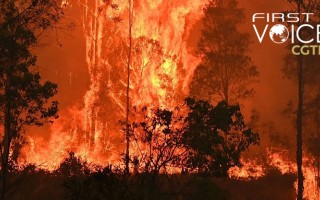 Policy more important than technology in putting out Australia's fires